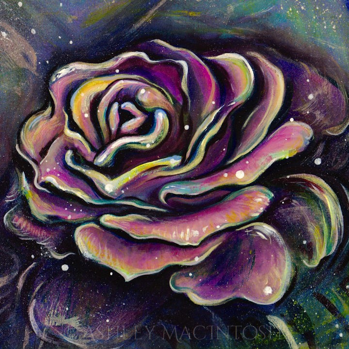 Hansa Rose -- 12 x 12, acrylic on canvas. 2019