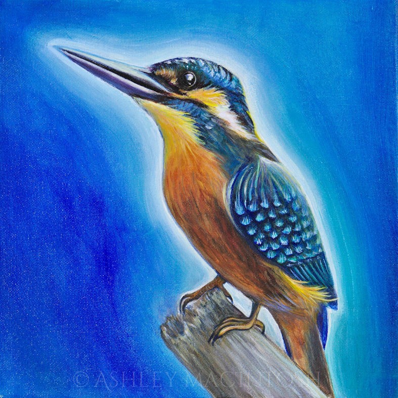 Kingfisher -- 12 x 12, acrylic on canvas. 2019