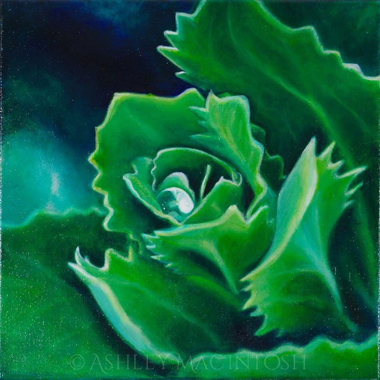 Plant -- 12 x 12, acrylic on canvas. 2017 (NFS)