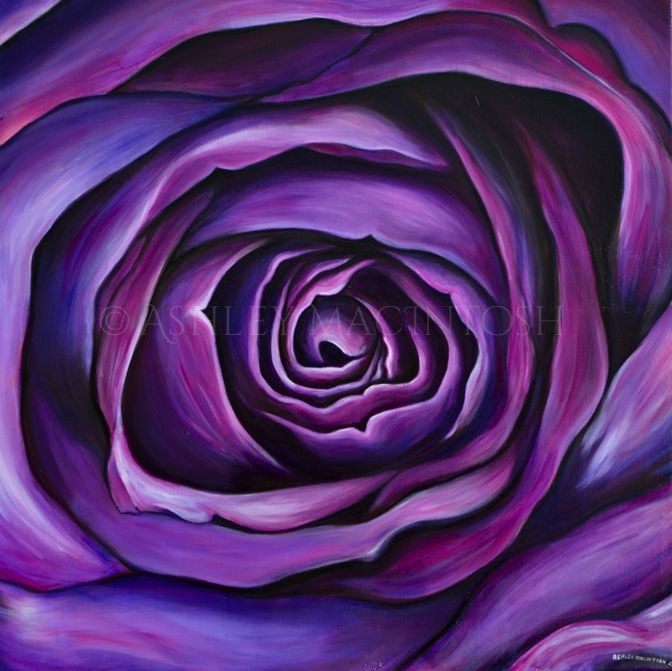 Purple Rose -- 20 x 20, acrylic on canvas. 2019 (Sold)