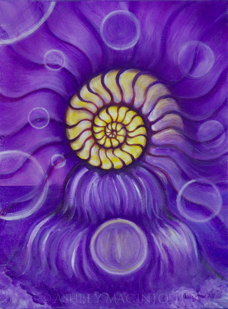 Seashell Swirl -- 12 x 16, acrylic on canvas. 2018