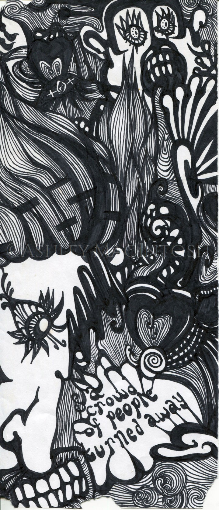 Dragonflylashes -- 2007