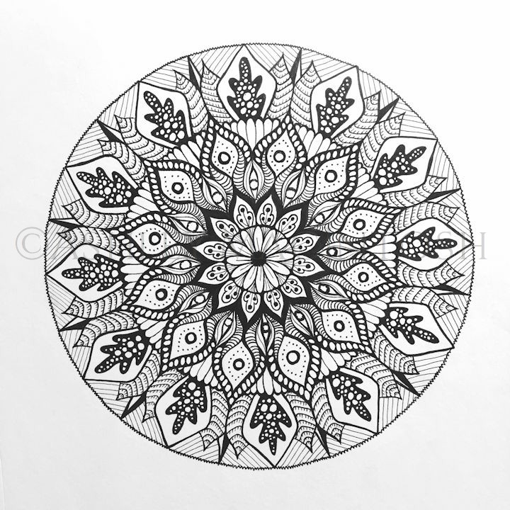 Inward Thoughts -- 2019